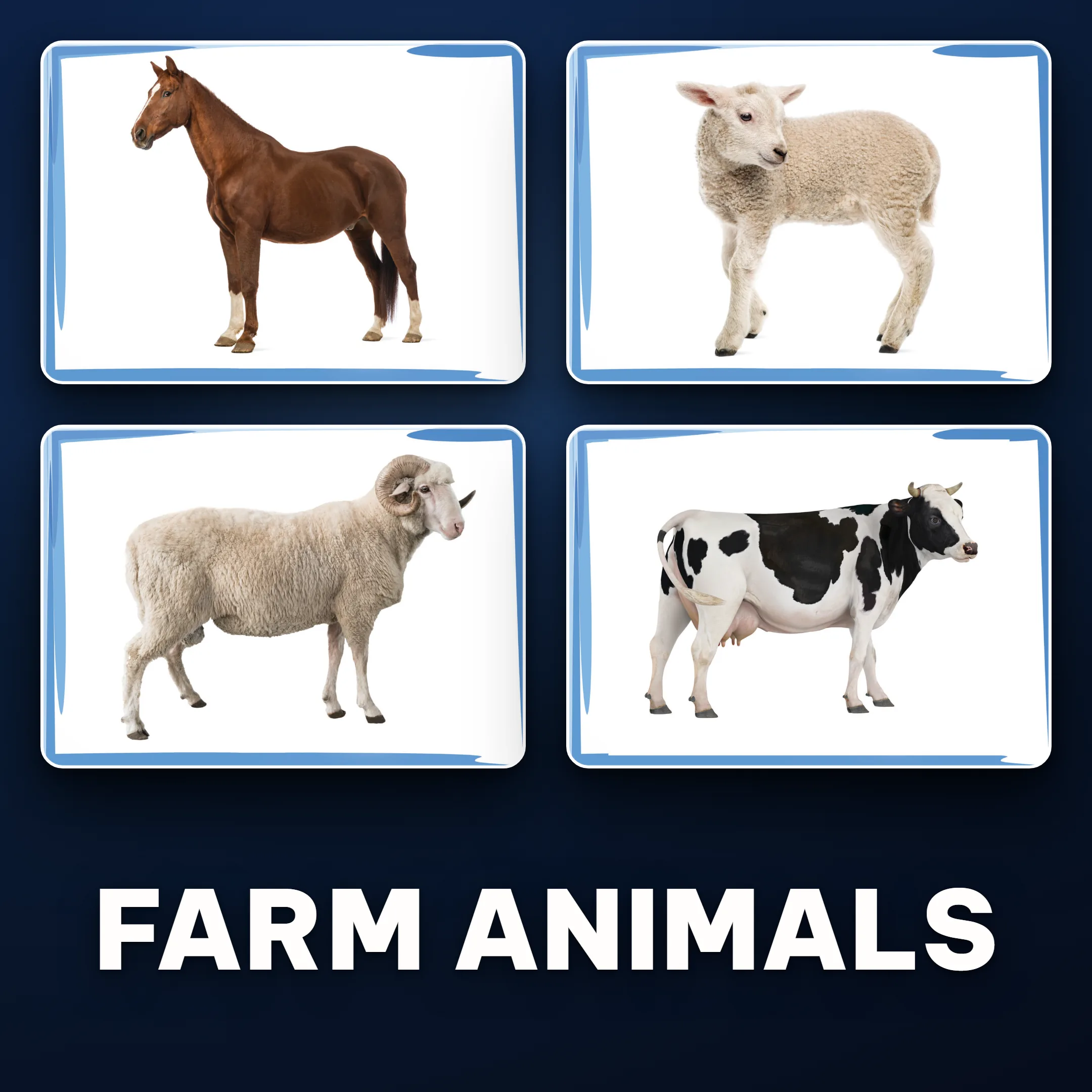 Zestaw kart prezentacyjnych: Animals farm