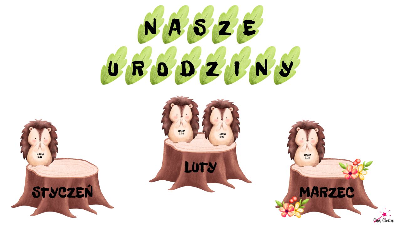 Jeżyki - NASZE URODZINY