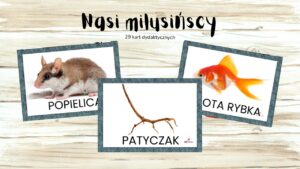 Nasi milusińscy (zwierzęta) - KARTY DYDAKTYCZNE
