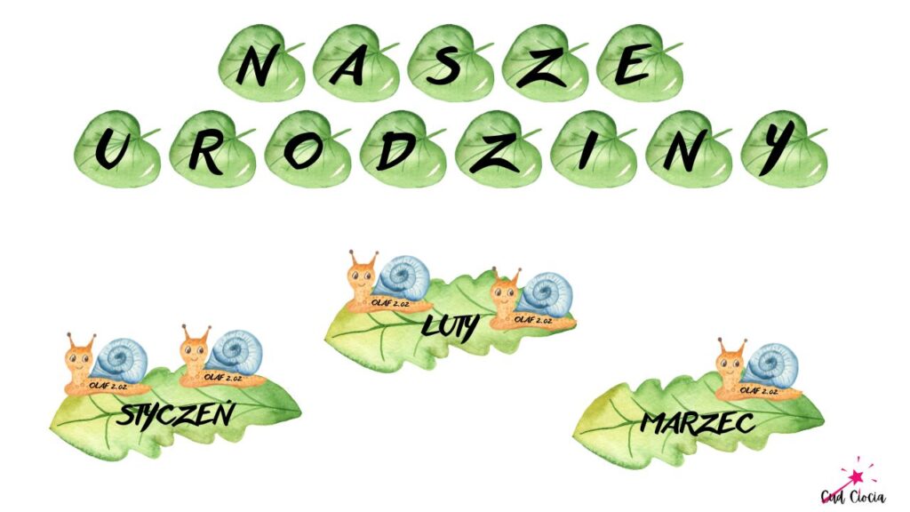 Ślimaczki - NASZE URODZINY