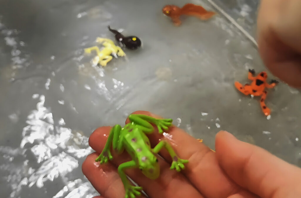 Magiczne chwile z wodą i żabkami! 