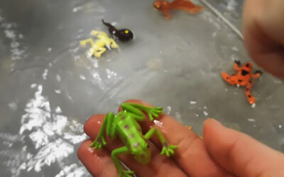 Magiczne chwile z wodą i żabkami! 