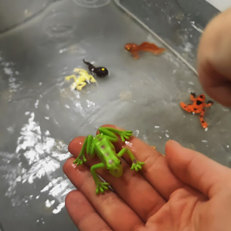 Magiczne chwile z wodą i żabkami! 
