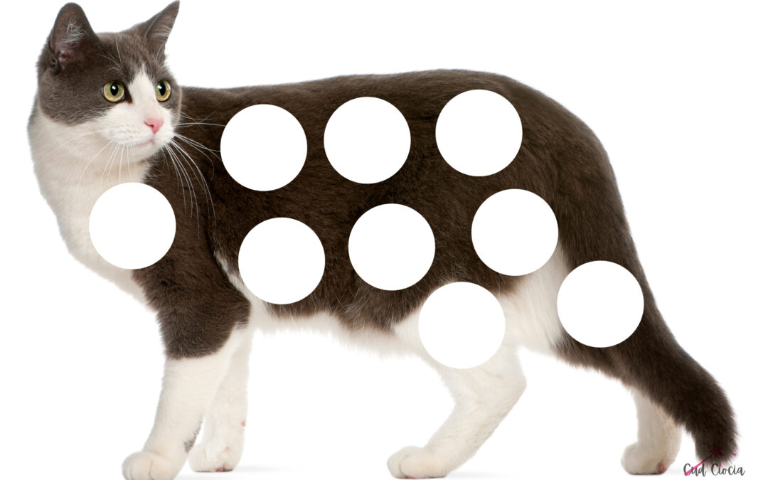 Flamastry kropkowe w przedszkolu i żłobku