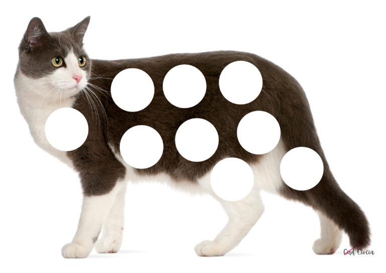 Flamastry kropkowe w przedszkolu i żłobku