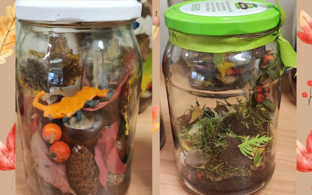 Las w słoiku: Inspirujące Zajęcia o Przyrodzie i Lesie