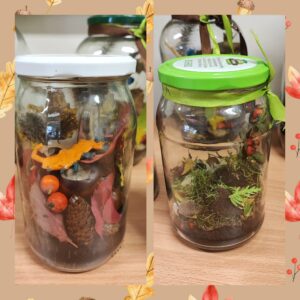 Las w słoiku: Inspirujące Zajęcia o Przyrodzie i Lesie