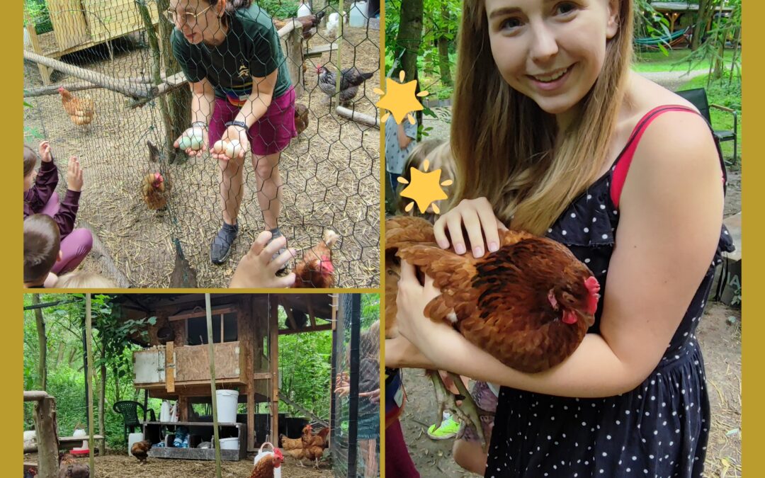 Moje spotkanie z Ekowioską Ujazdowską – Kraków