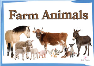Farm Animals  Karty Prezentacyjne
