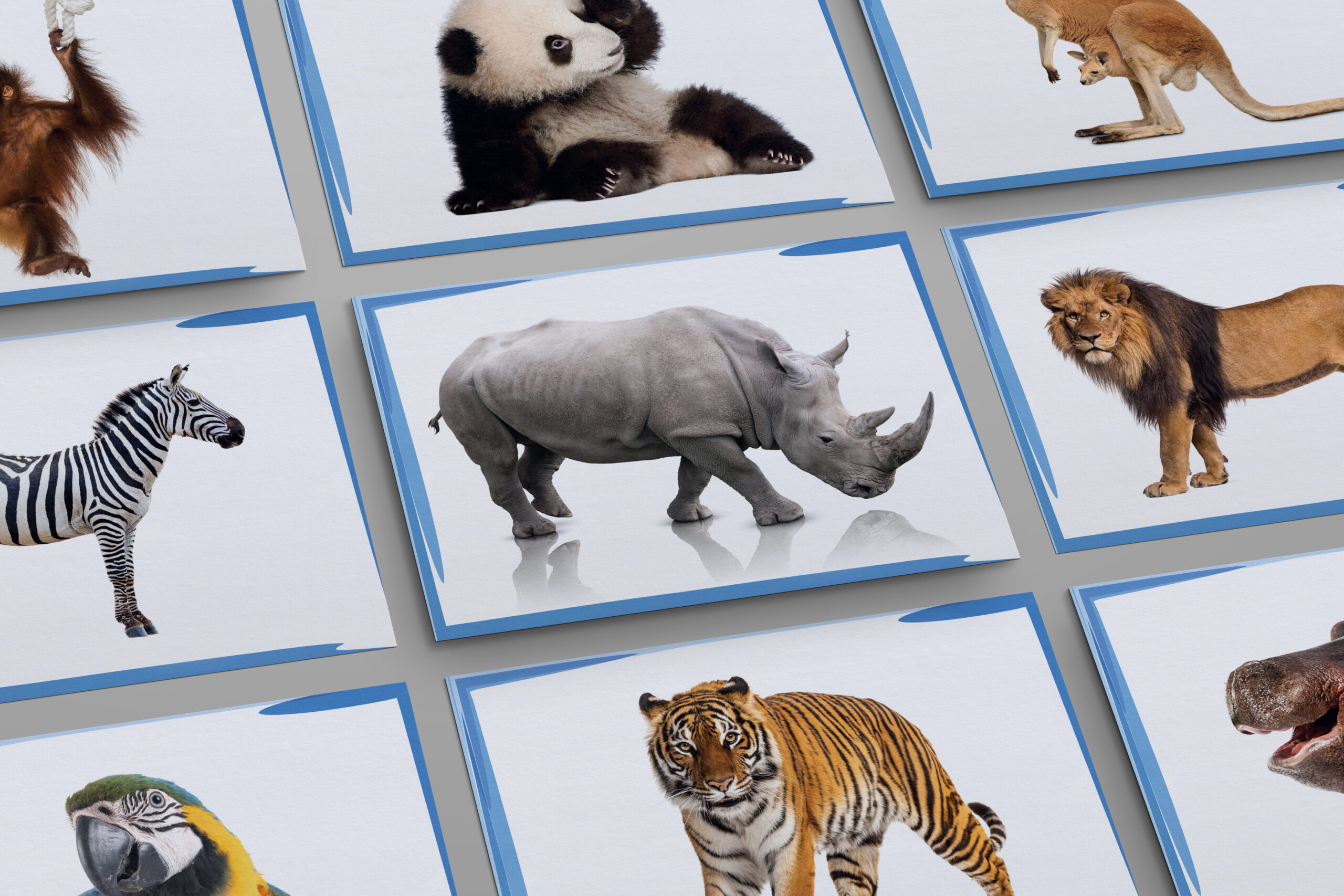 KARTY PREZENTACYJNE DO NAUKI ANGIELSKIEGO - 27 KOMPLETNYCH ZESTAWÓW PDF - obrazek 9