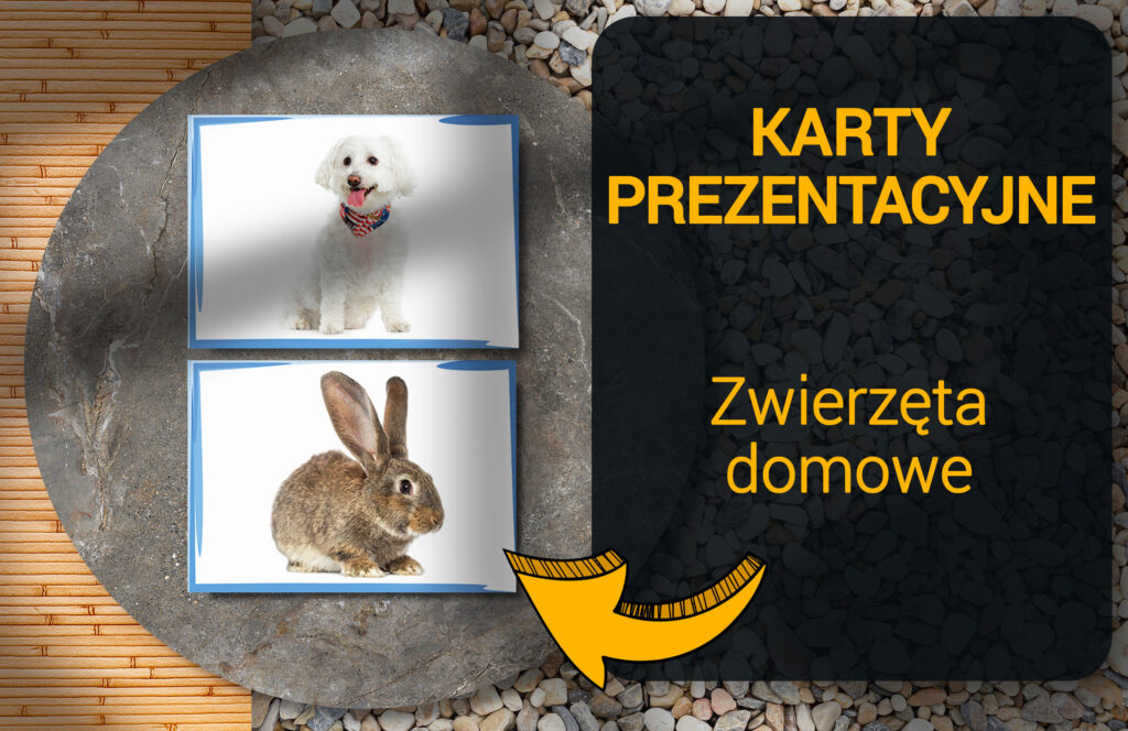 Pets Zwierzęta Domowe – Katry Prezentacyjne dla Nauczycieli Angielskiego