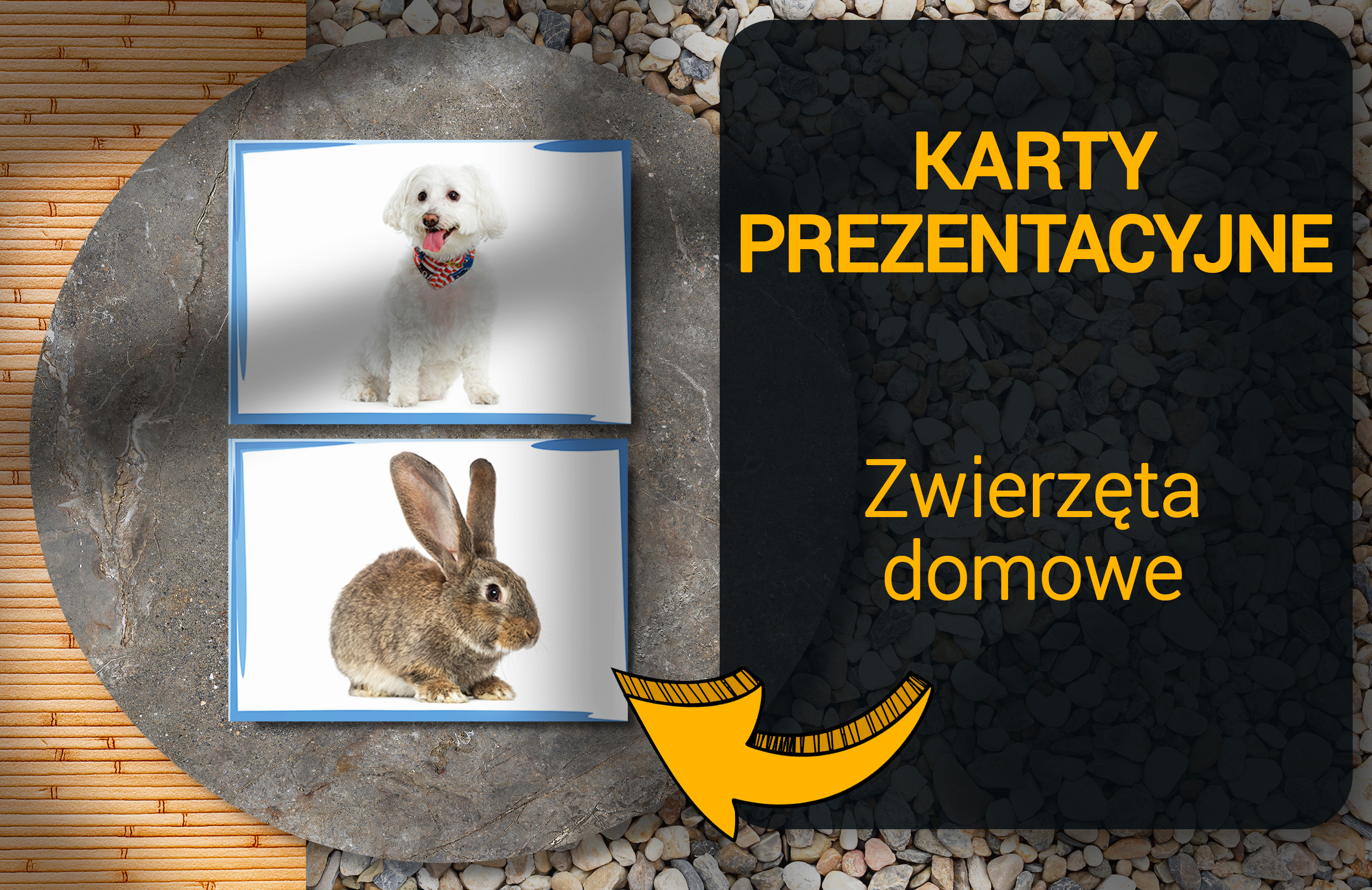 Pets Zwierzęta Domowe – Katry Prezentacyjne dla Nauczycieli Angielskiego