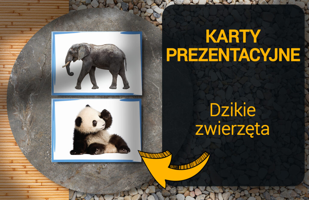 Wild Animals Dzikie Zwierzęta – Katry Prezentacyjne dla Nauczycieli Angielskiego