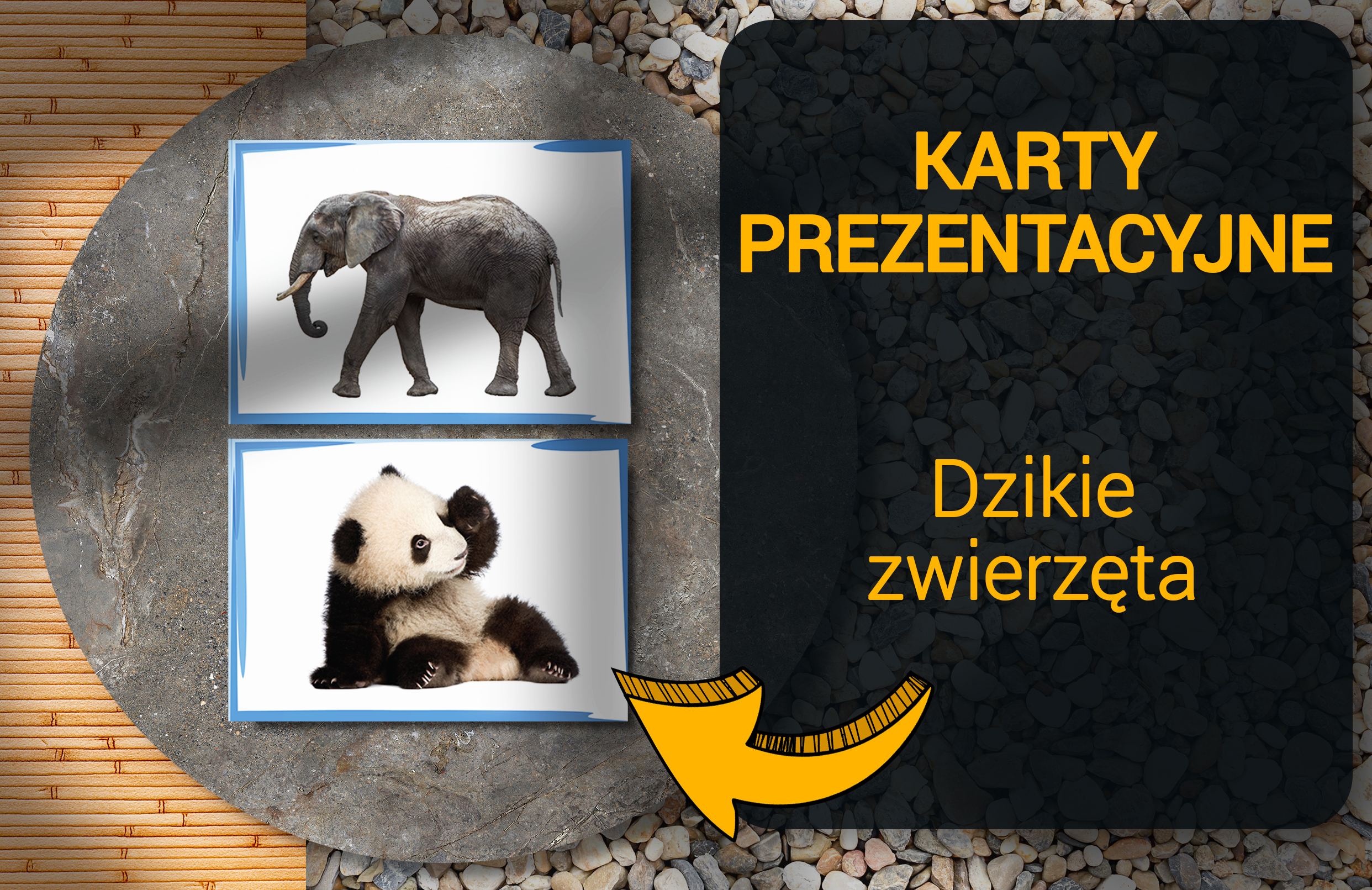 Wild Animals Dzikie Zwierzęta – Katry Prezentacyjne dla Nauczycieli Angielskiego