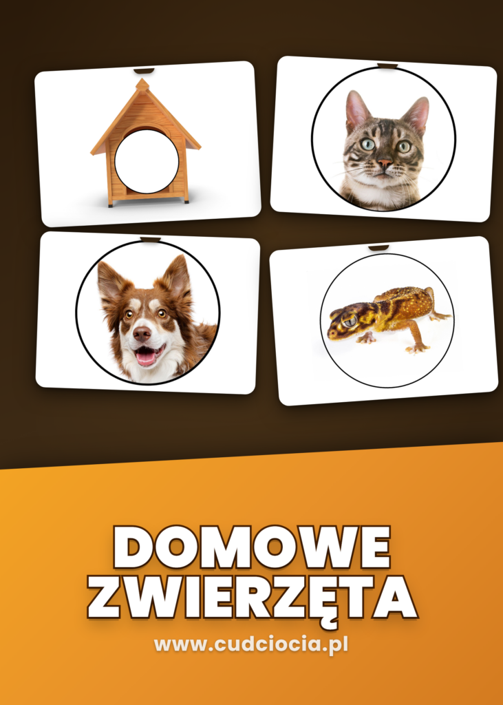 Domowe Zwierzęta — Karty PL z Fotografiami (58 Stron)