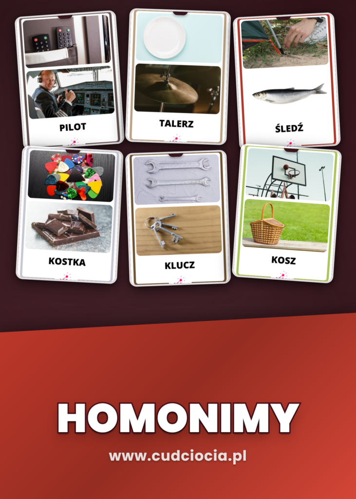 Homonimy — Karty Dydaktyczne z Podpisami (46 Wyrazów)