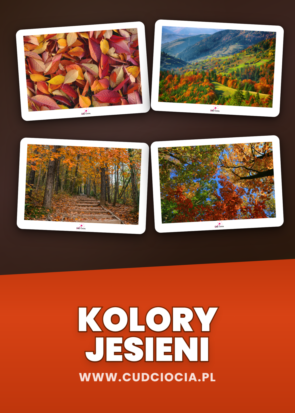 Kolory Jesieni — 42 Fotograficzne Ilustracje do Druku