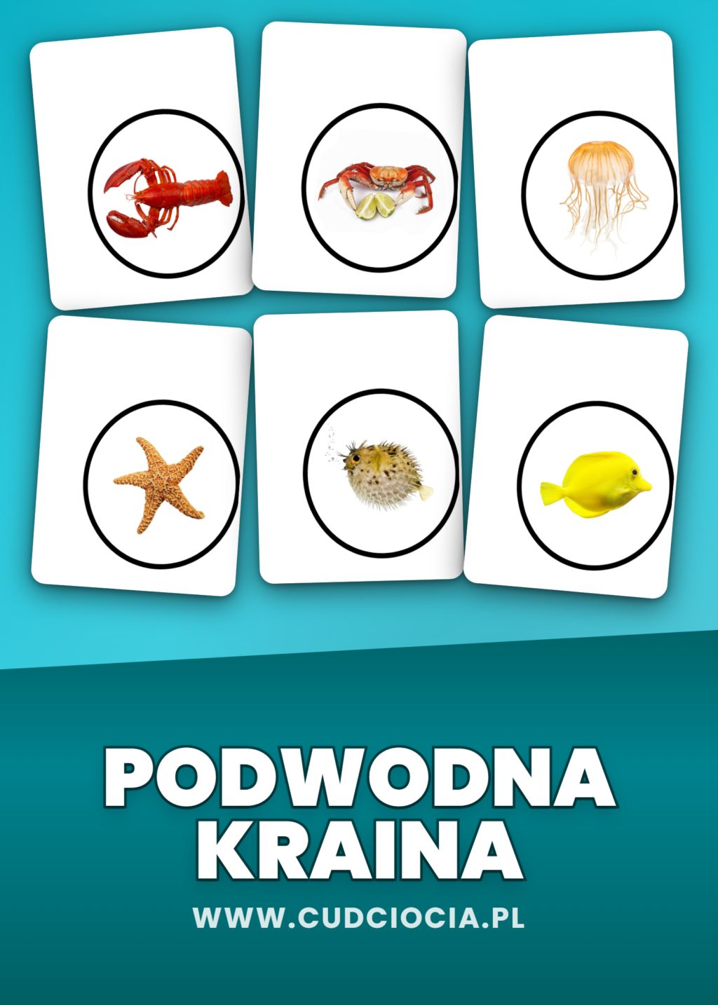 Podwodna Kraina — Karty Pracy ze Zwierzętami Morskimi (Magiczny Aparat, 18 Kart)