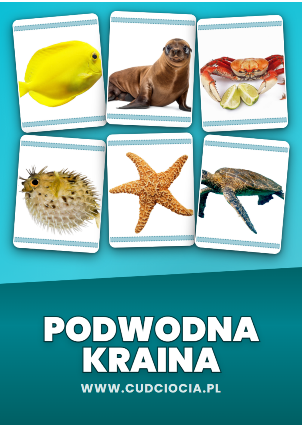 Podwodna Kraina — Karty Dydaktyczne PL (zwierzęta morskie)