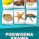 Strona 1, okładka produktu