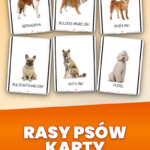Strona 1, okładka produktu