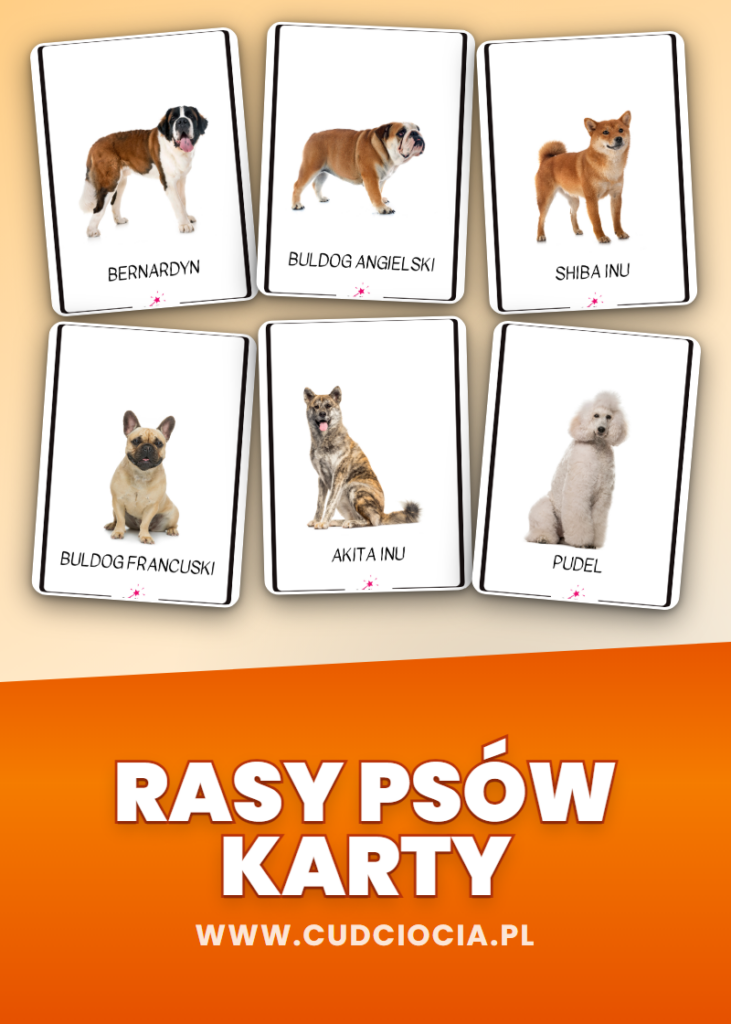 Rasy Psów — Karty Dydaktyczne
