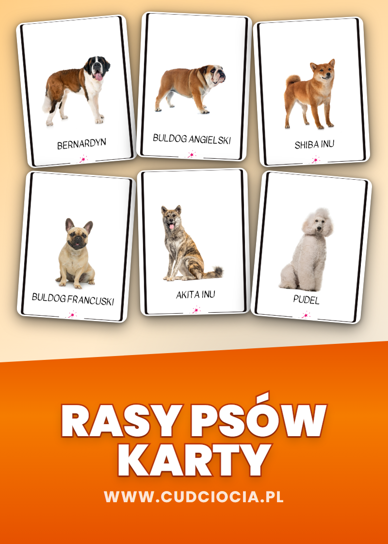 Rasy Psów — Karty Dydaktyczne (Język Polski, 30 Ras Psów do Druku)