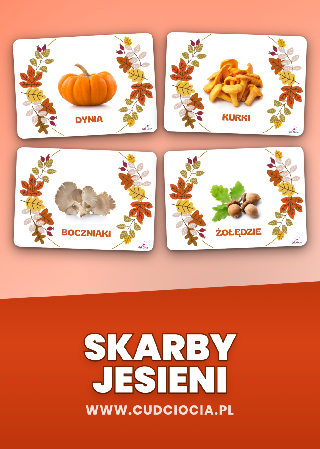 Skarby Jesieni — Karty Dydaktyczne (26 Fotograficznych Kart, PDF A4)