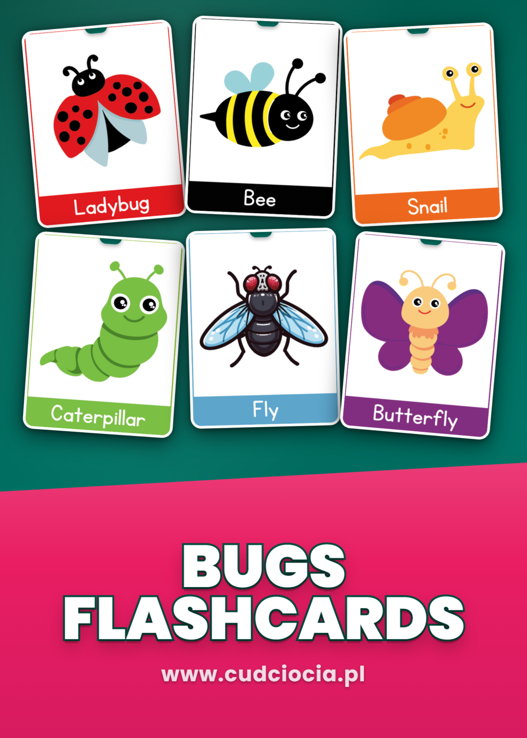 Bugs – Karty Prezentacyjne ANG
