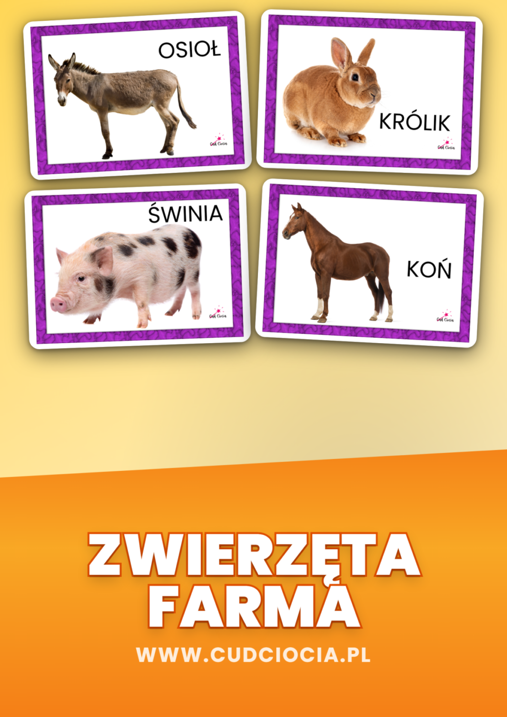Zwierzęta na Wsi — okładka karty dydaktyczne