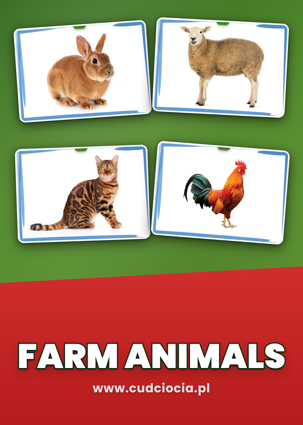 Farm Animals — Karty Prezentacyjne ANG (21 Zwierząt Farmy, Fotograficzne)