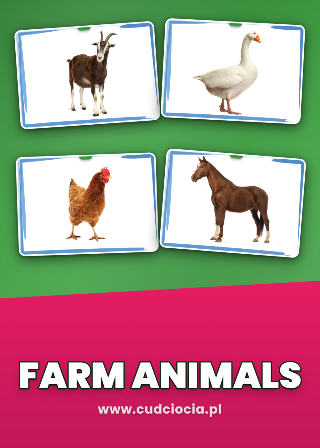 Farm Animals — 23 Karty Prezentacyjne ANG (Zwierzęta z Farmy)
