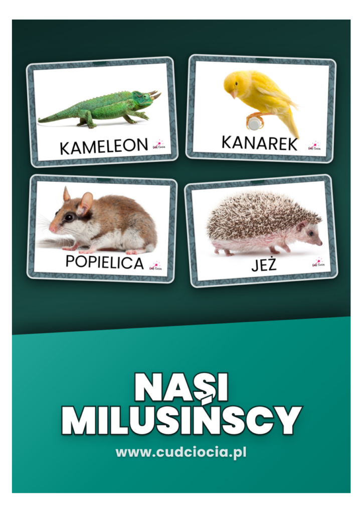 Nasi Milusińscy — Zwierzęta Domowe Karty Pracy (29 Zwierząt PL)