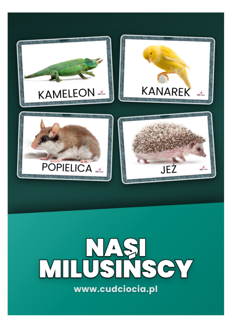 Nasi Milusińscy — Zwierzęta Domowe Karty Pracy PL