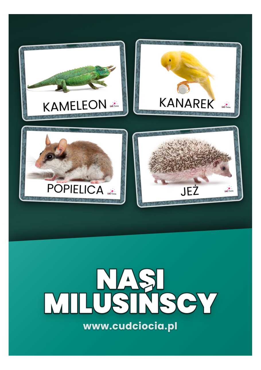 Nasi Milusińscy — Zwierzęta Domowe Karty Pracy (29 Zwierząt PL)