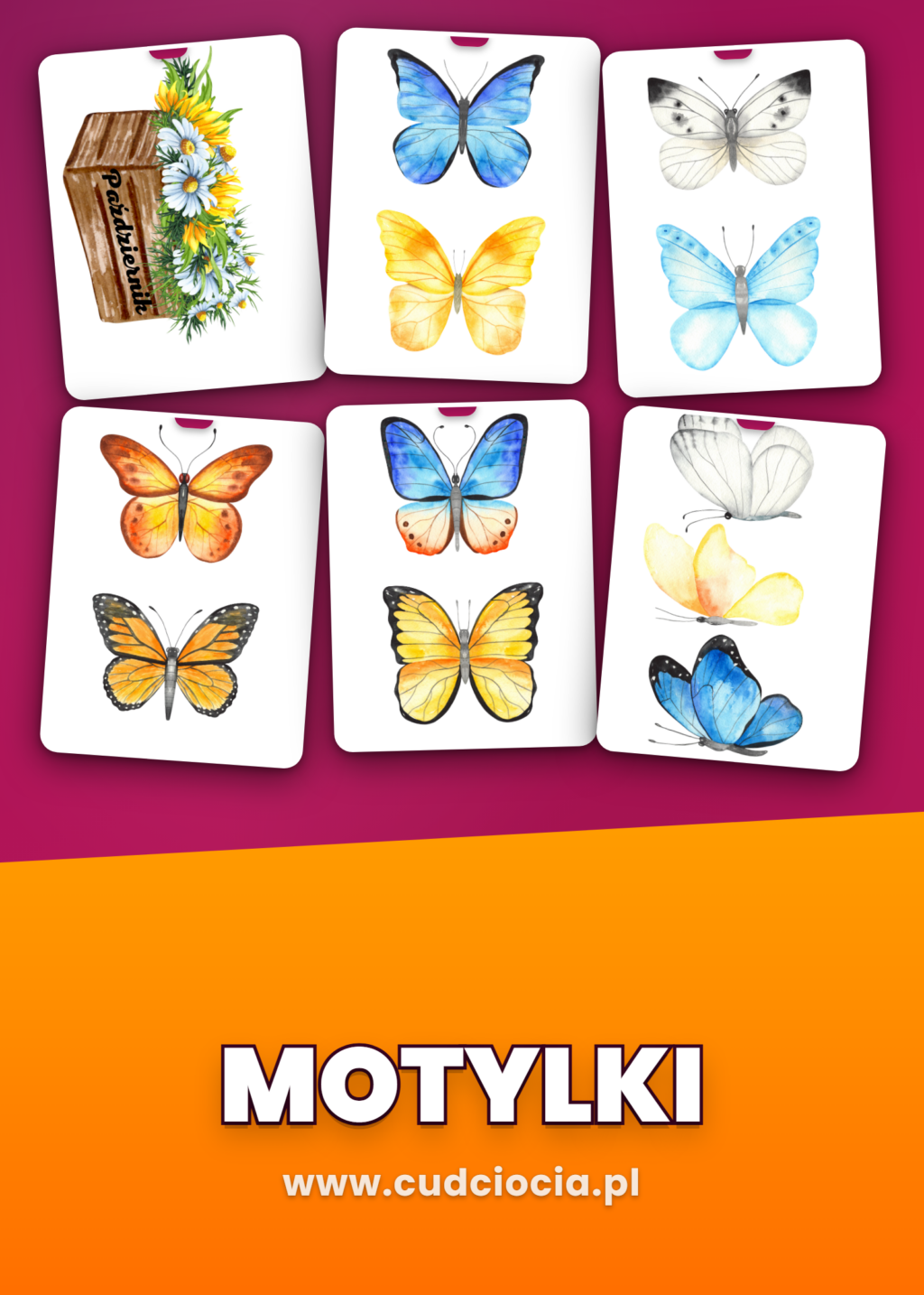 Motylki - NASZE URODZINY