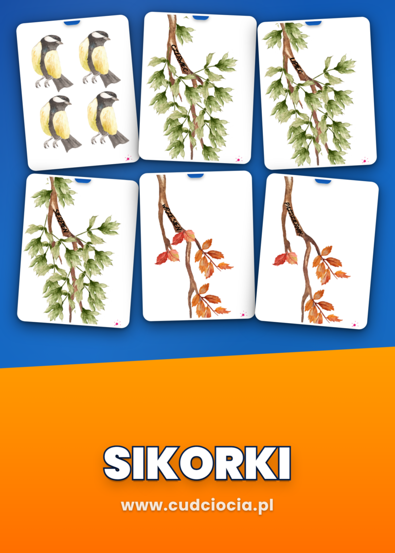 Sikorki — Kalendarz Urodzin do Sali