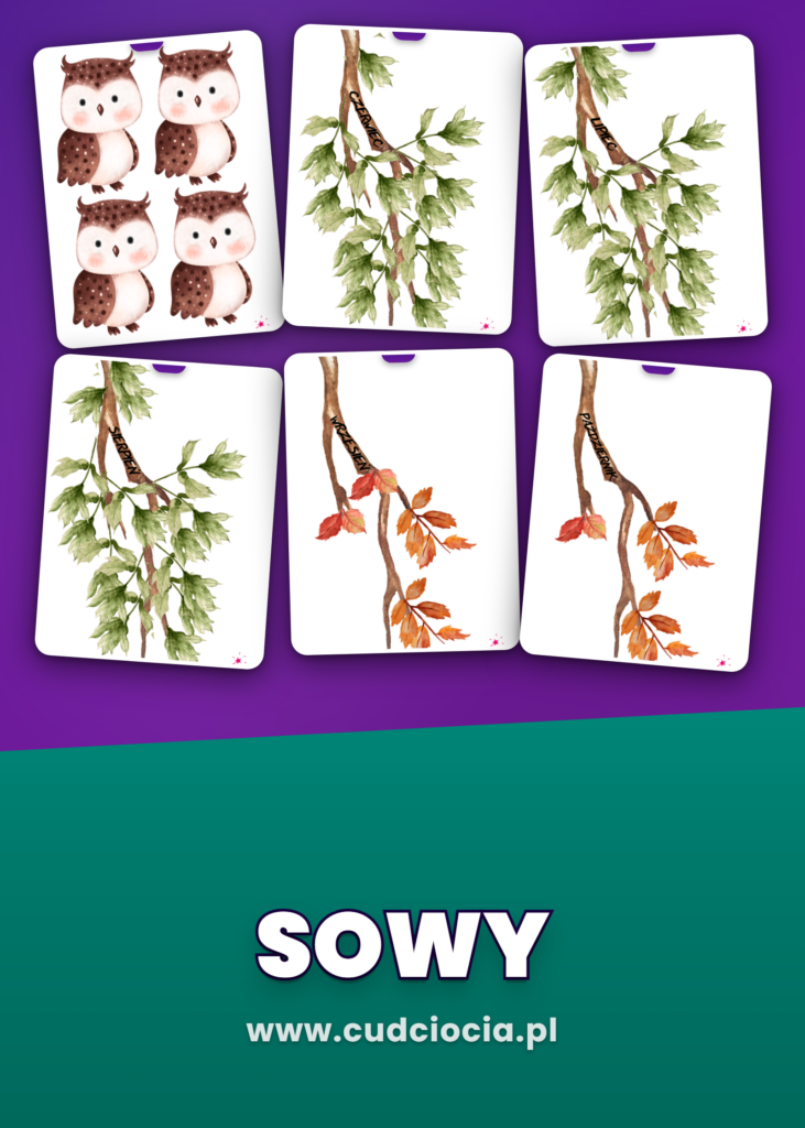 Kalendarz Urodzin Sowy — Dekoracje Sali Przedszkolnej (NASZE URODZINY)