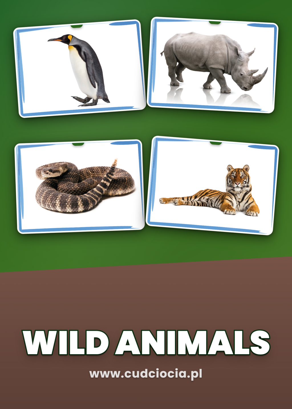 Dzikie Zwierzęta – Karty Prezentacyjne ANG