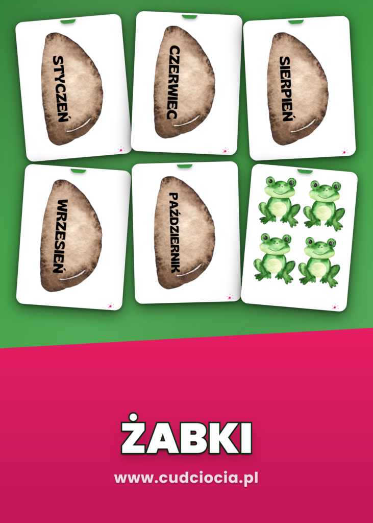 Żabki - NASZE URODZINY