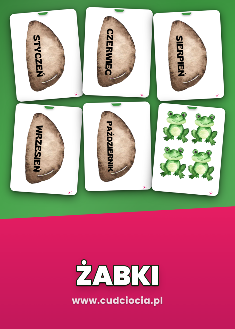 Żabki – NASZE URODZINY