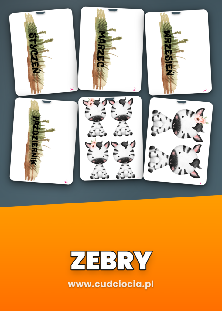 Zebry - NASZE URODZINY