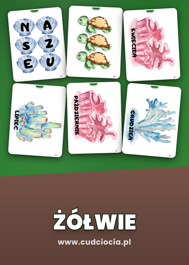Żółwie — Kalendarz Urodzin do Sali