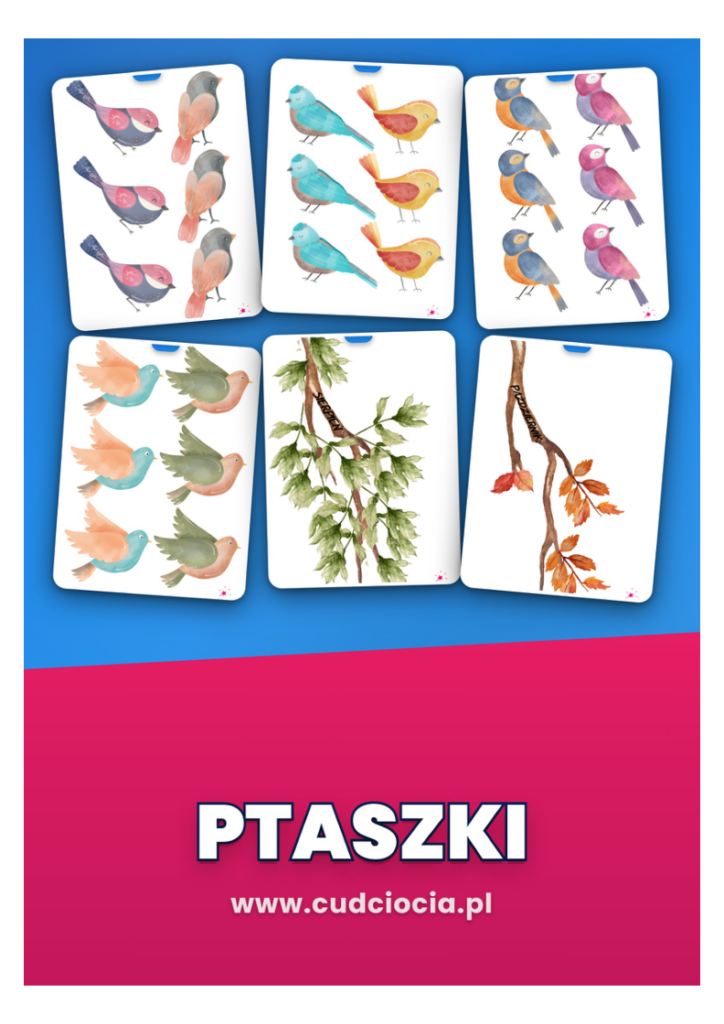 Ptaszki – Nasze Urodziny (kalendarz urodzin do sali)