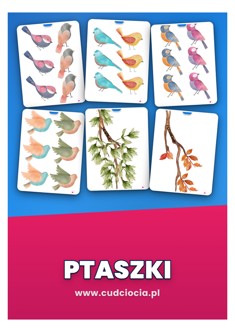 Ptaszki – Nasze Urodziny (kalendarz urodzin do sali)