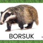 Pokaż stronę 2