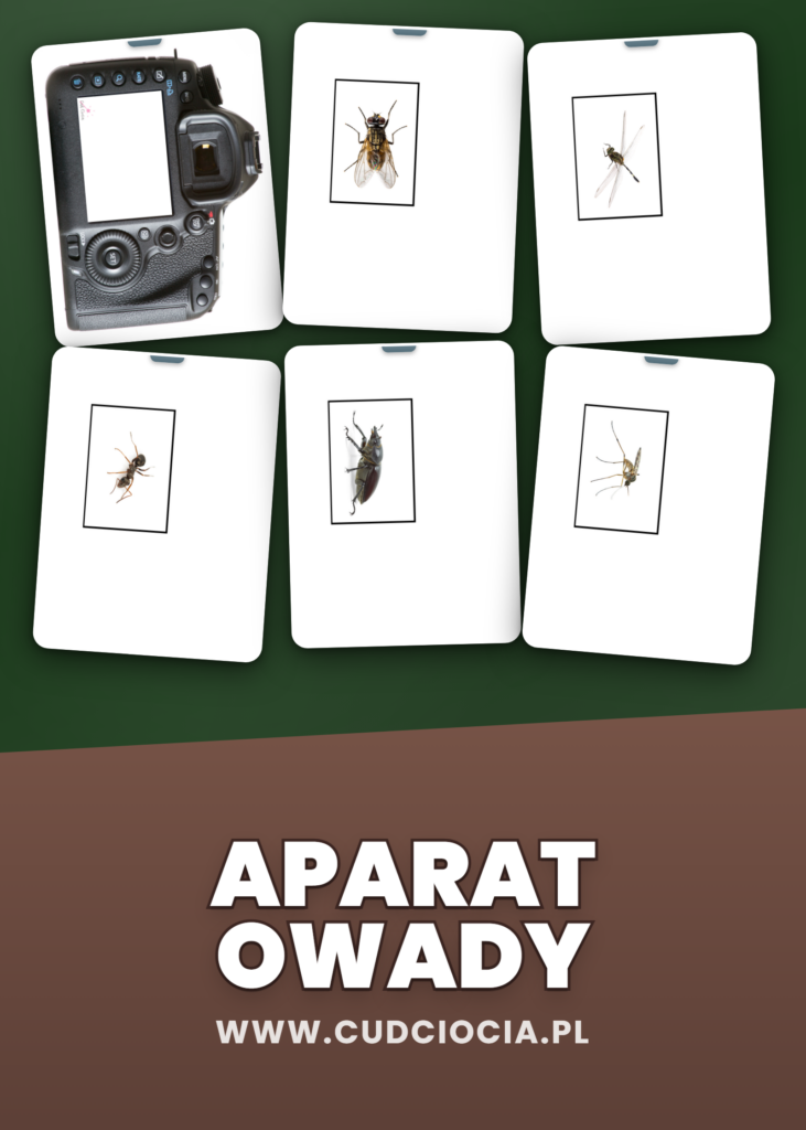 Motyle, Biedronki, Pszczoły do Druku — Magiczny Aparat z Owadami