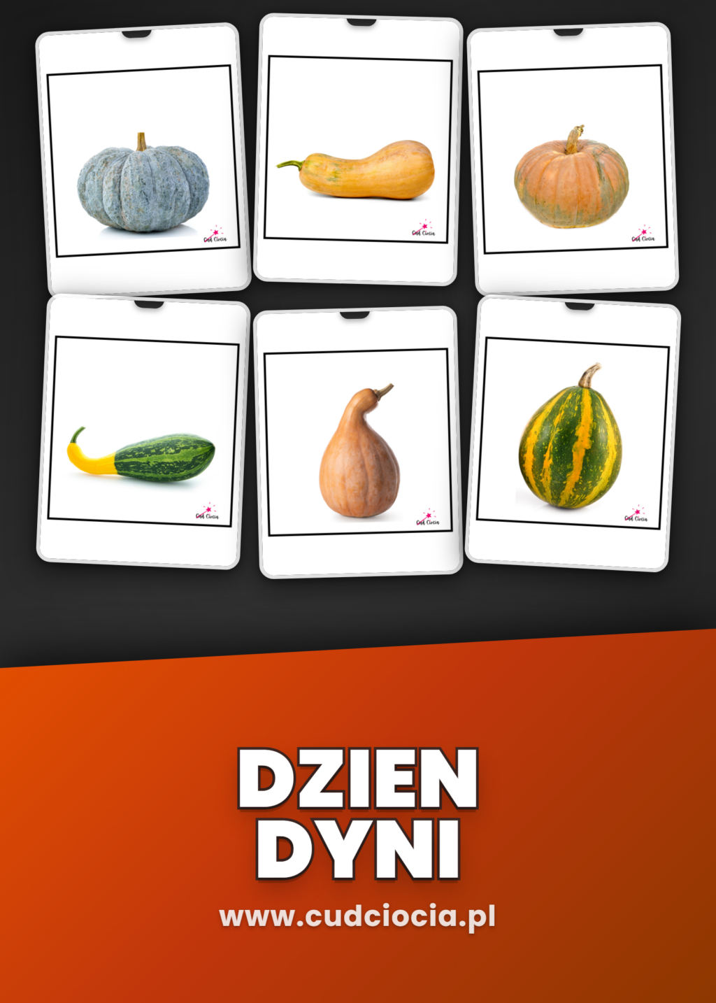 Dzień Dyni - GIGA PAKIET