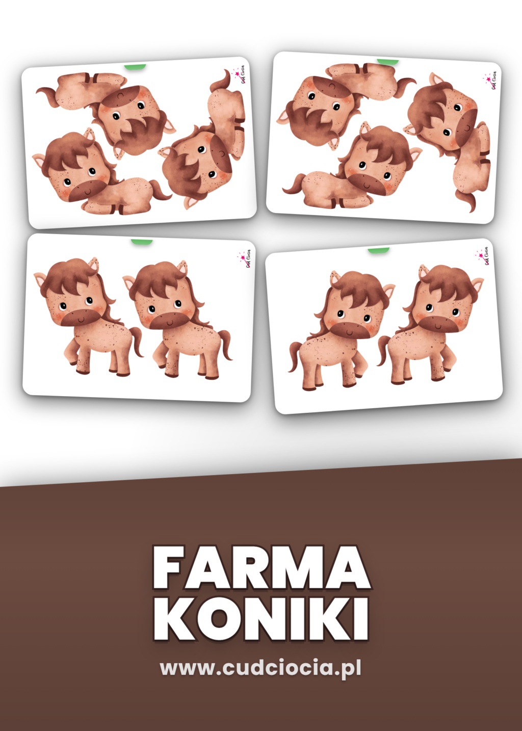 Kalendarz Urodzin Grupa Koniki — Dekoracje Przedszkolne do Druku