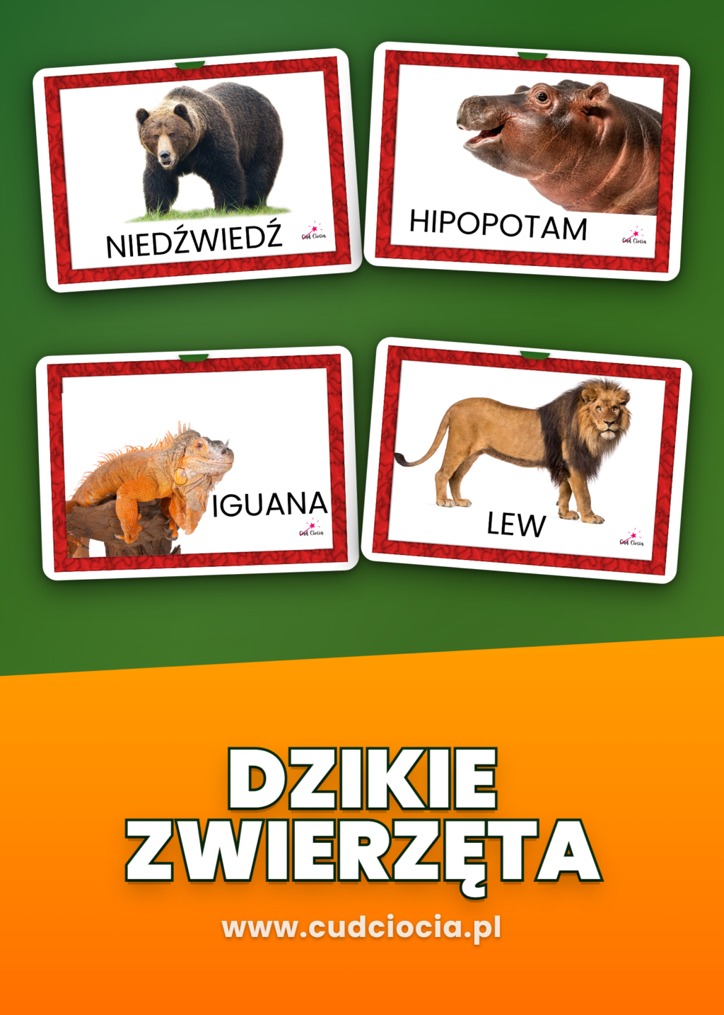 Dzikie Zwierzęta - KARTY DYDAKTYCZNE